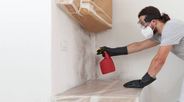 Professional Attic Mold Remediation technician working in Bay Shore, NY