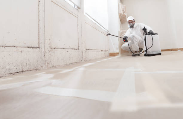 24/7 Emergency Attic Mold Remediation experts in Bay Shore, NY